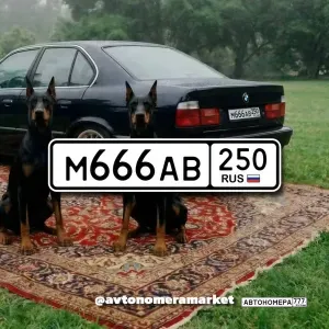М666АВ250
